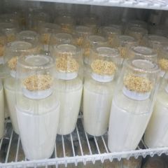 源来乳此奶制品店(三道街店) User Photo