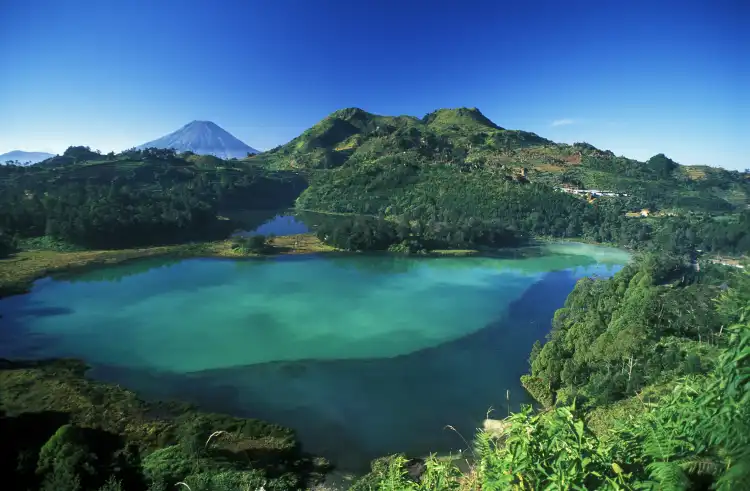 Hotels near Sikidang Crater