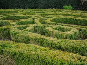 Dunedin Botanic Garden