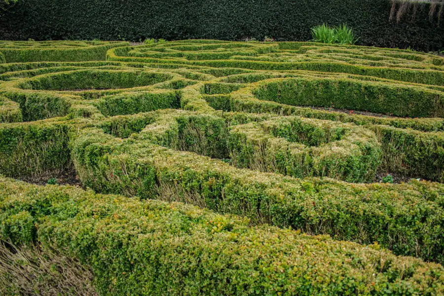 Dunedin Botanic Garden