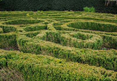 Dunedin Botanic Garden