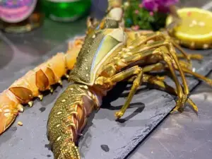 嘟小牛烤肉(云霄泰景13栋店)