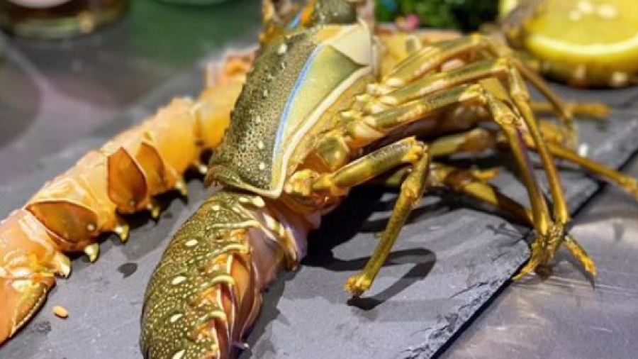 嘟小牛烤肉(云霄泰景13栋店)