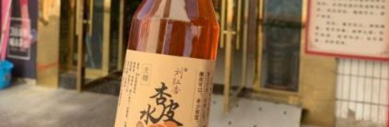 刘红杏·杏皮水店