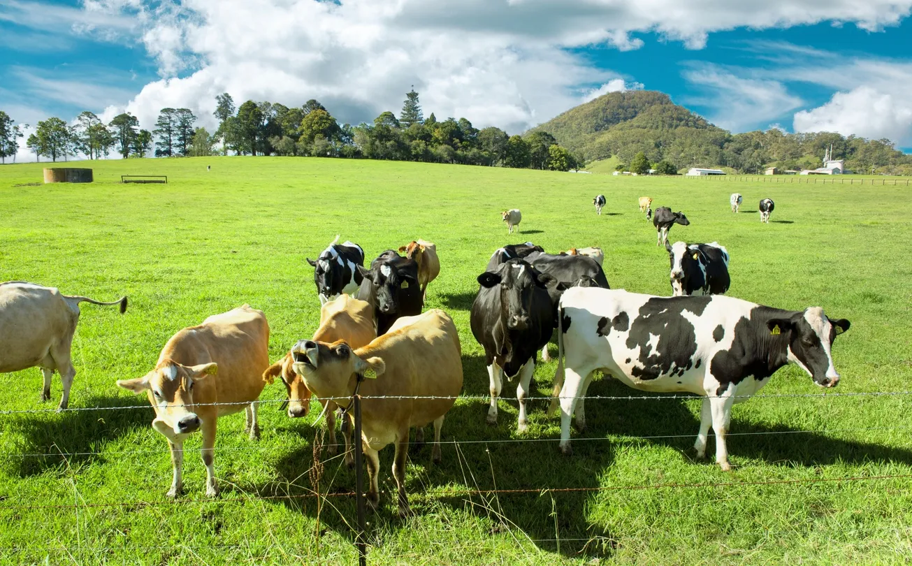 1_百年農場親近動物體驗