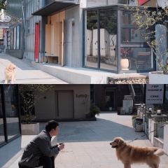 森加咖啡店(环城南路店) User Photo