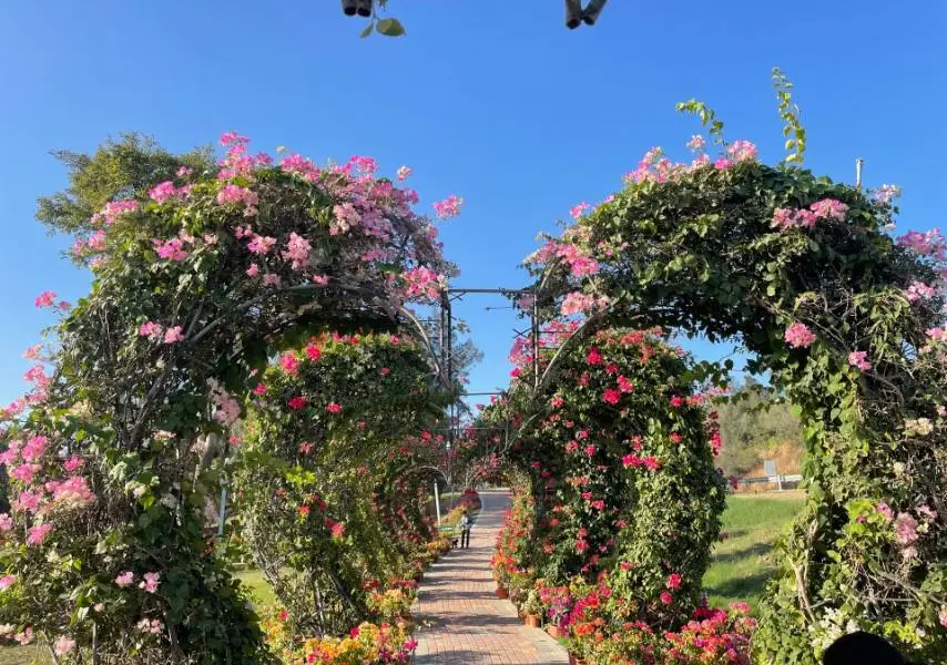 花海谷公園