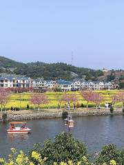 Pingpan Village Rape Flower