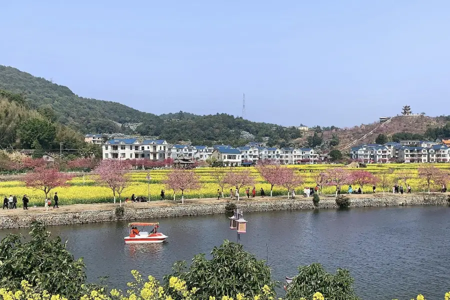 Pingpan Village Rape Flower