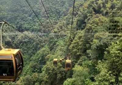 Cableway in the Shunan Bamboo Sea