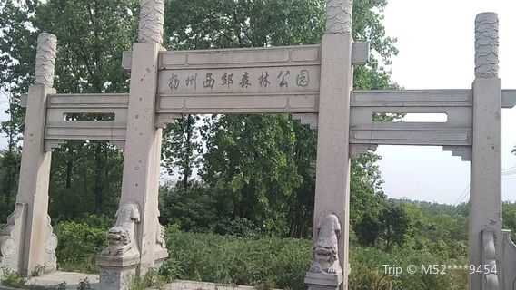 Yangzhou Xijiao Forest Park
