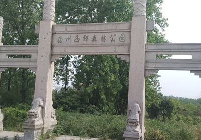 Yangzhou Xijiao Forest Park