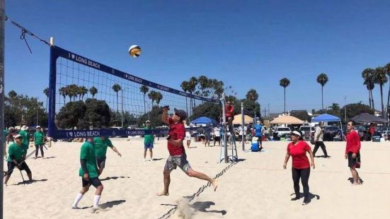 World Woman Beach Volleyball Elite Friendship Forest