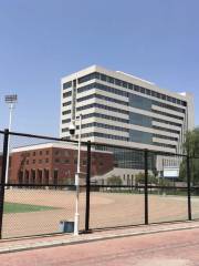 Lanzhou University Gymnasium