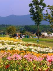 半湯·日光域營地樂園