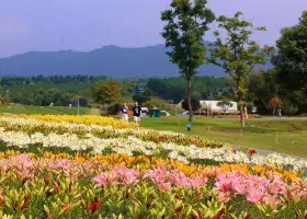 半湯·日光域營地樂園