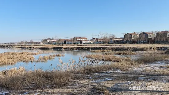 Maying Wetland