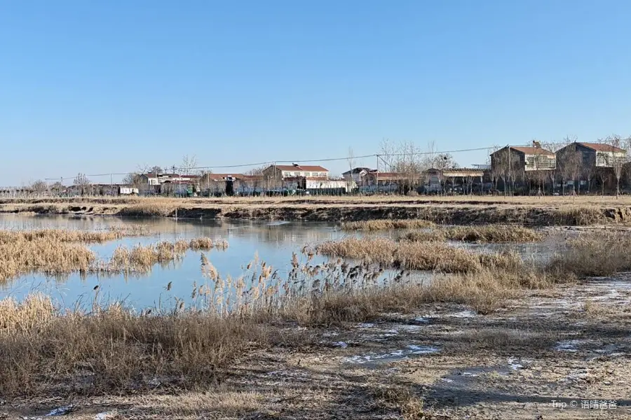 Maying Wetland