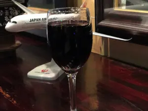 Jet Lag Club
