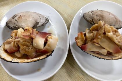 Minshuku Aotsuka Shokudou