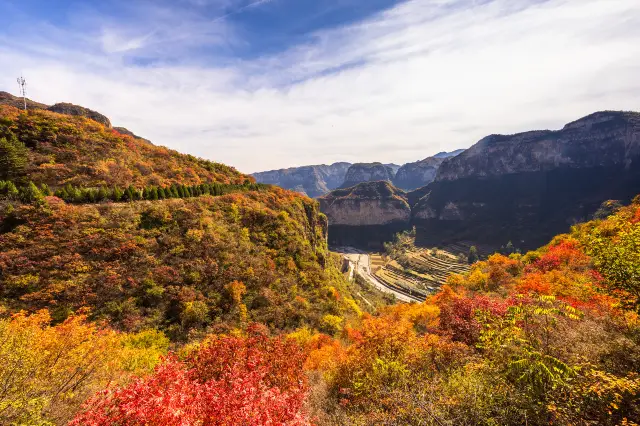Shijiazhuang Fall Leaves Viewing