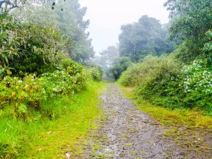 Baru Volcano National Park