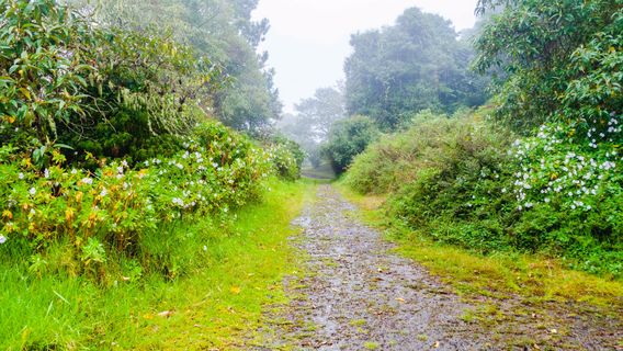 Baru Volcano National Park