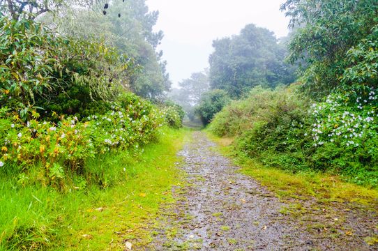 Baru Volcano National Park