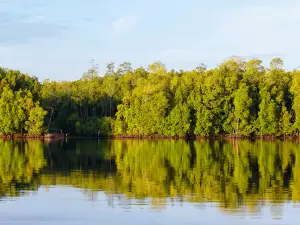 Sipadan Mangrove Resort