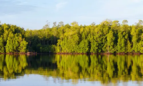 Sipadan Mangrove Resort