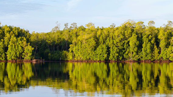 Sipadan Mangrove Resort