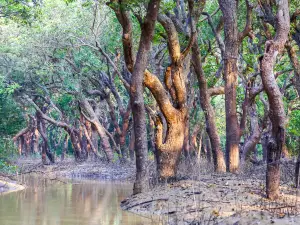Tonle Sap Lake