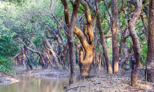 Tonle Sap Lake