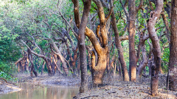 Cambodia