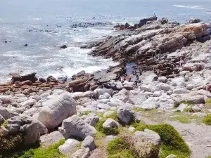 Stony Point Nature Reserve