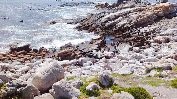 Stony Point Nature Reserve