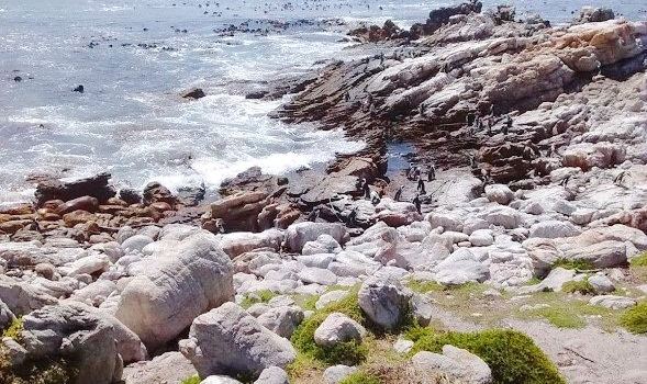Stony Point Nature Reserve