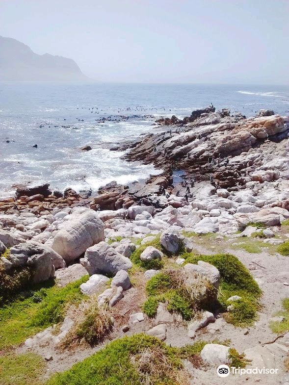 Stony Point Nature Reserve