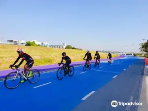 Happy & Healthy Bike Lane