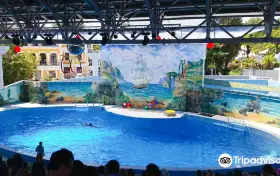 Большой Сочинский Дельфинарий