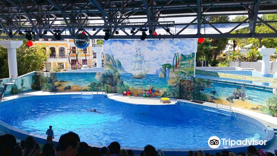 Bol'shoy Sochinskiy Del'finariy