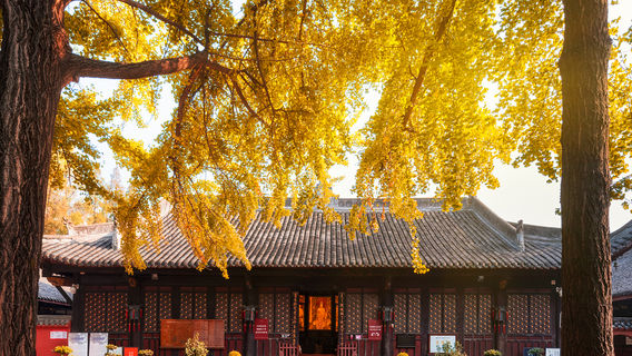 ChengduTours