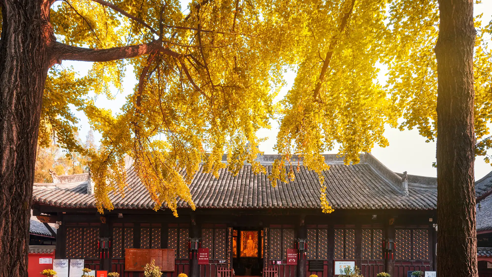 Các khách sạn gần Wenshu Temple