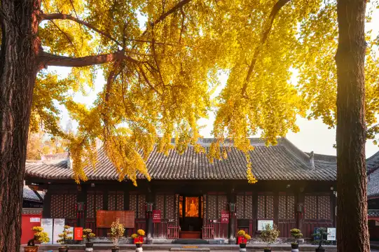 Hotels near Wenshu Monastery