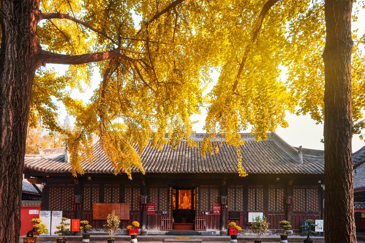 3_Wenshu Monastery