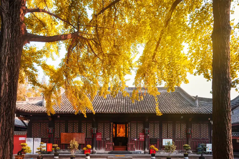 2_Wenshu Monastery