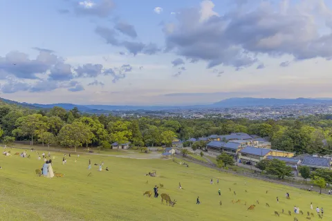 Mt. Wakakusa