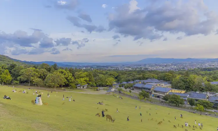 Các khách sạn gần Mt. Wakakusa