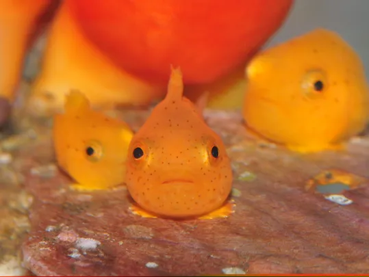 4_おたる水族館