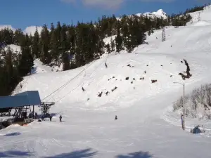 Mt Eyak Ski Area